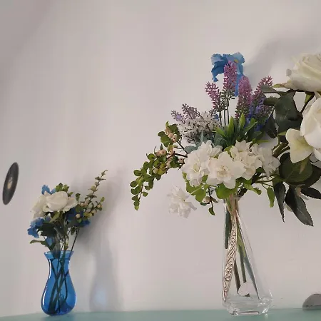 Flower 11 شقة *